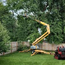 Reliable Talladega, AL Tree Removal Solutions